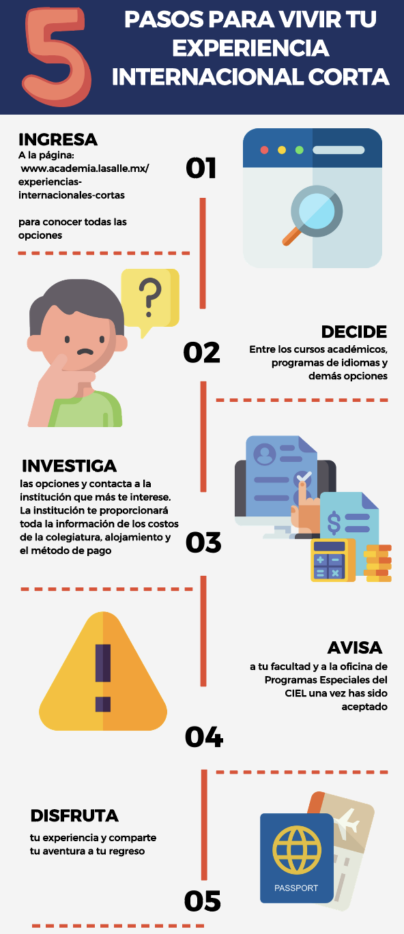 pasos programas cortos
